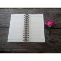 Fashion Cheap Chinese Pocket Spiral Mini Notebook (NP-X-136P-0005)